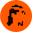coin image