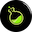coin image