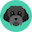 coin image