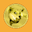 coin image